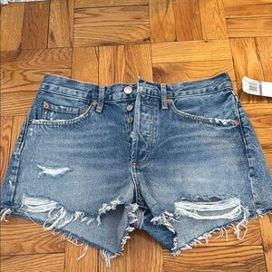 NWT Agolde Blue Distressed Jean Shorts